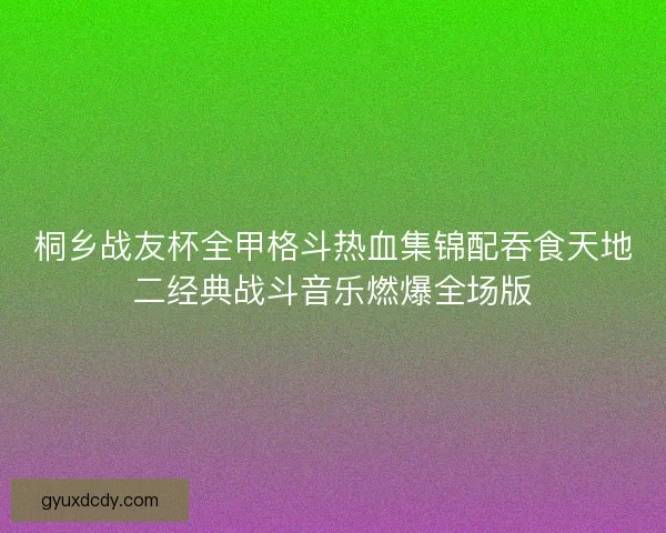 桐乡战友杯全甲格斗热血集锦配吞食天地二经典战斗音乐燃爆全场版